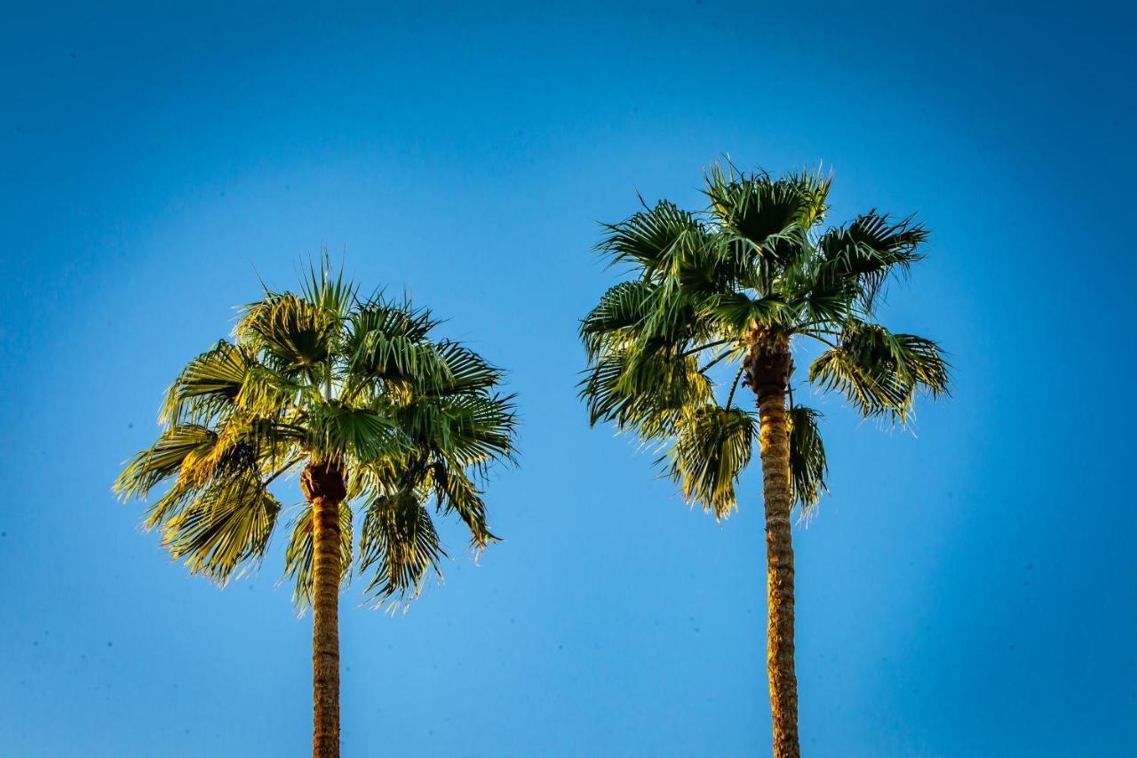 California Hotel Palm Springs